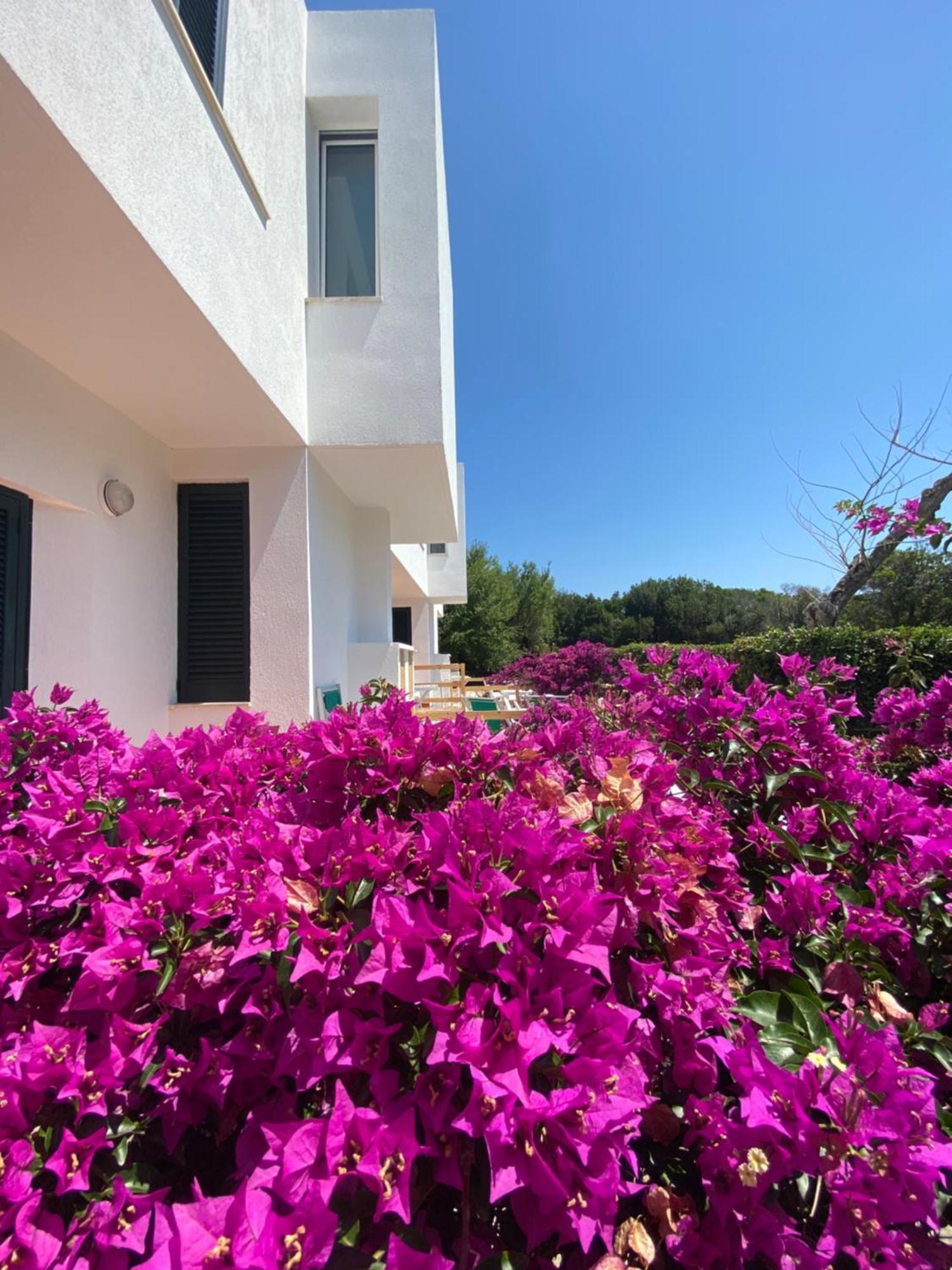 Residence Altair - Serra Degli Alimini Otranto Eksteriør billede